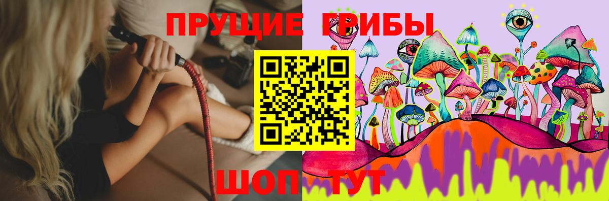 Бердск  Псилоцибиновые грибы мухоморы  Вход с VPN 